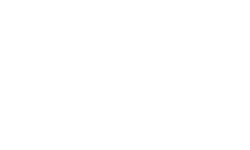 Swisspreneur